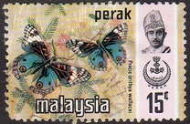 [Butterflies, type AV]