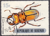 [Beetles, type PW1]