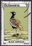 [Birds, type GP]