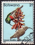 [Birds, 类型 KN]