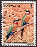 [Birds, 类型 KO]