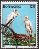 [Birds, 类型 KU]