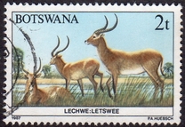 [Animals of Botswana, type ON]