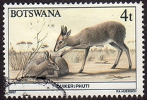 [Animals of Botswana, type OP]