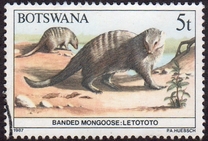 [Animals of Botswana, type OQ]