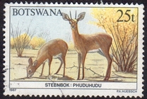 [Animals of Botswana, type OX]