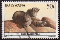 [Animals of Botswana, type PB]