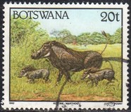 [Animals, Tip TE]