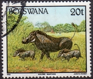 [Animals, Tip TE]