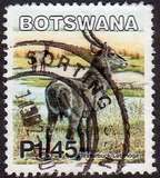 [Mammals, type ACA]