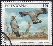 [Birds, type XF]