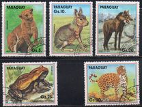 [Airmail - Wild Animals, type DVD]