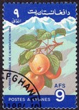[World Food Day, סוג AAL]