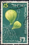 [Jewish New Year, tegund BO]
