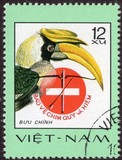 [Rare Birds, type Y]