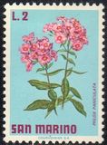 [Flowers, typ YG]