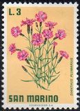 [Flowers, typ YH]