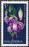 [Flowers - Lilies, type AIH]