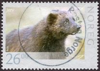 [Local Fauna, type AWD]