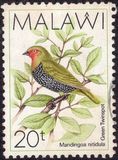 [Birds, tegund QA]