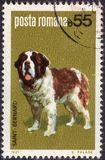 [Dog Show "Canina", type FFS]