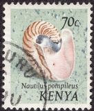 [Seashells, Вид AR]