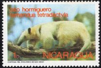 [Wild Animals, tyyppi AOH]