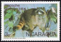 [Wild Animals, tyyppi AOJ]