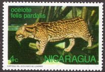 [Wild Animals, tyyppi AOK]