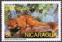 [Wild Animals, tyyppi AOL]