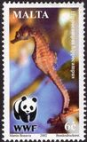 [WWF - Seahorse, type AKJ]