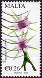 [Maltese Flora - Flowers, type DKQ]