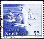 [Birds - Refugee Relief, typ KU1]