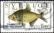 [Fish - Self-Adhesive Paper, type BMT]