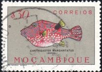 [Fish, type CD]