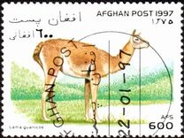 [Llamas & Camels, type ANJ]