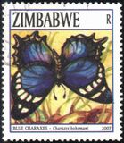 [Butterflies, Tüüp XU]