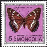 [Butterflies, Tüüp ACW]