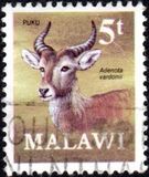 [Decimal Currency - Antelopes, タイプ DA]