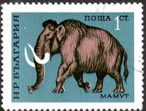 [Prehistoric Animals, type BTI]