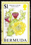 [Flowering Fruits, type TY]