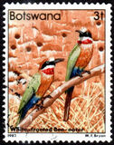 [Birds, type KO]