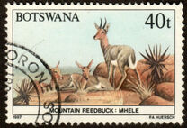 [Animals of Botswana, type PA]