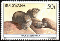 [Animals of Botswana, type PB]
