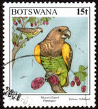 [Birds, type XG]