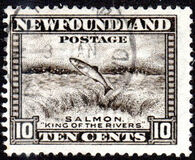 [Newfoundland Issue, ประเภท DU]
