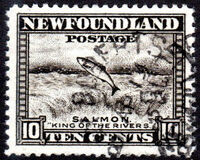 [Newfoundland Issue, ประเภท DU1]