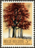 [Trees - Nature Protection Year, тип ALN]