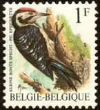 [Birds, type BNH]