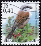 [Birds, Tüüp CGX]